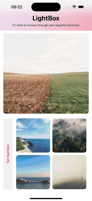 Horizontaler Grid mit Sections und AsyncImage